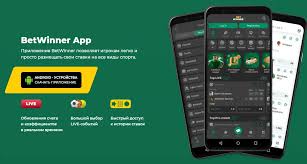 Everything You Need to Know About the BetWinner App Everything You Need to Know About the BetWinner App